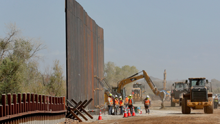 Trump’s Border Wall Is the ‘Biggest Threat’ to Southwest Wildlife, Government Emails Reveal